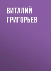 Виталий Григорьев - Комментарий к Федеральному закону от 25 июля 2002 г. № 114-ФЗ «О противодействии экстремистской деятельности» (постатейный)