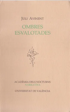 Juli Avinent Martínez Ombres esvalotades обложка книги