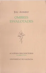 Juli Avinent Martínez - Ombres esvalotades