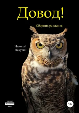 Николай Лакутин Довод! Сборник рассказов обложка книги