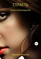 Николай Игнатков - Страсть. Книга восемнадцатая