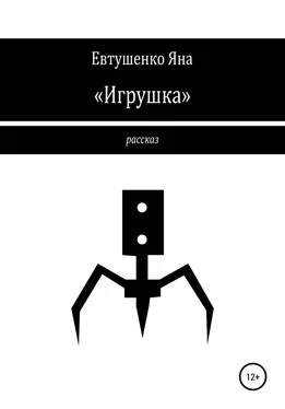 Яна Евтушенко «Игрушка» обложка книги