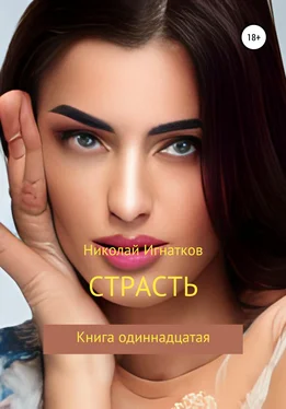 Николай Игнатков Страсть, Книга одиннадцатая обложка книги