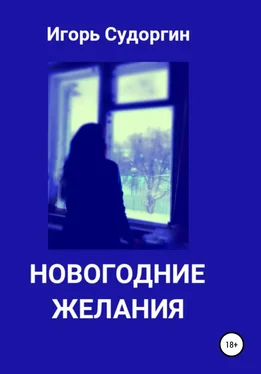 Игорь Судоргин Новогодние желания обложка книги