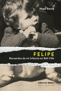 Hugo Bauzá Felipe обложка книги