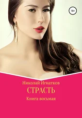 Николай Игнатков - Страсть. Книга восьмая