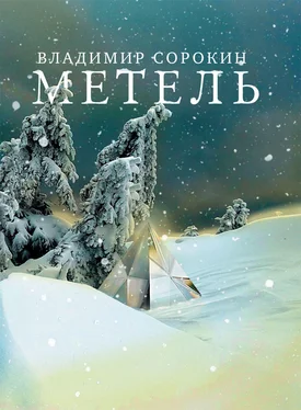 Владимир Сорокин Метель обложка книги