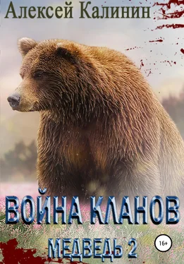 Алексей Калинин Война Кланов. Медведь 2 обложка книги