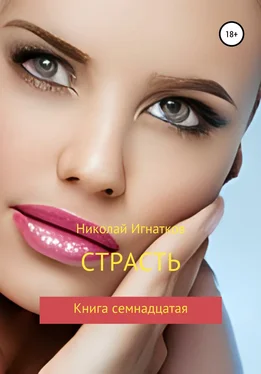 Николай Игнатков Страсть. Книга семнадцатая обложка книги