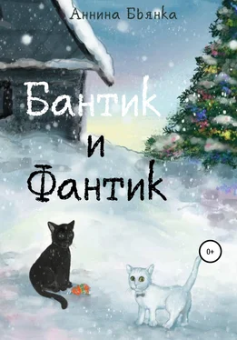 Аннина Бьянка Бантик и Фантик обложка книги