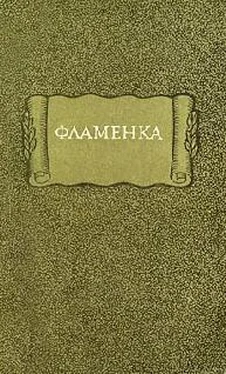 Средневековая литература Фламенка обложка книги