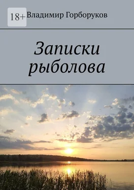 Владимир Горборуков Записки рыболова обложка книги