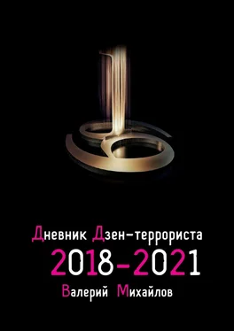 Валерий Михайлов Дневник дзен-террориста. 2018—2021 обложка книги