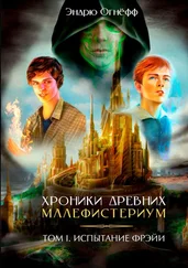 Эндрю Огнёфф - Хроники Древних Малефистериум. Том I. Испытание Фрэйи