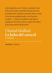 Chantal Maillard - La baba del caracol