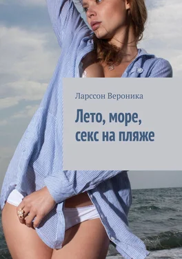 Вероника Ларссон Лето, море, секс на пляже обложка книги