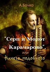 Андрей Бочко - «Серп и Молот – Карачарово», или Ничего подобного