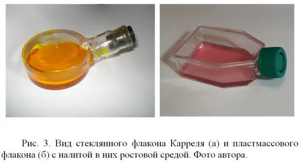 Также раковые клетки могут делиться при меньших концентрациях сыворотки чем - фото 5