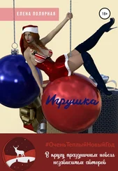 Елена Полярная - Игрушка