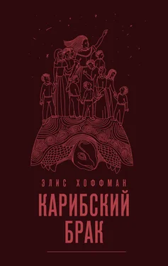 Элис Хоффман Карибский брак обложка книги