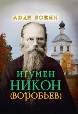 Ольга Рожнёва Игумен Никон (Воробьев) обложка книги