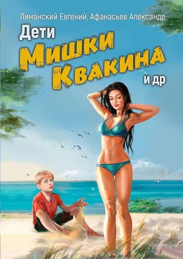 Александр Афанасьев Дети Мишки Квакина и др. обложка книги