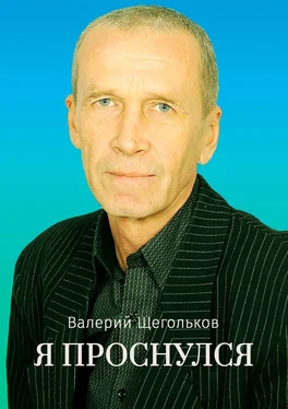 Валерий Щегольков Я проснулся. Будьте счастливы! обложка книги