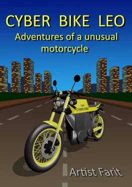 Farit Artist Cyber Bike Leo. Adventures of an unusual motorcycle обложка книги