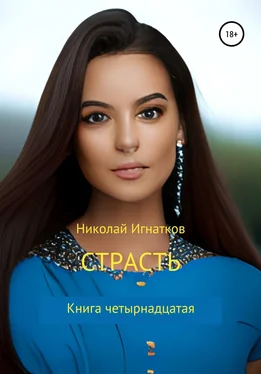Николай Игнатков Страсть. Книга четырнадцатая обложка книги