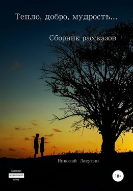 Николай Лакутин Тепло, добро, мудрость… Сборник рассказов обложка книги
