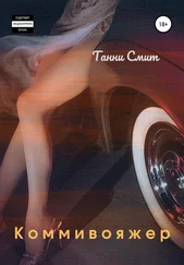 Танни Смит - Коммивояжёр