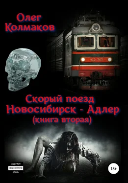 Олег Колмаков Скорый поезд «Новосибирск – Адлер». Книга вторая обложка книги