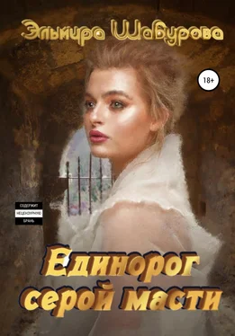 Эльмира Шабурова Единорог серой масти обложка книги