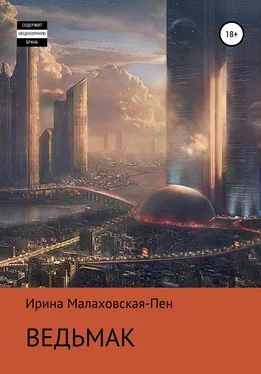 Ирина Малаховская-Пен Ведьмак обложка книги