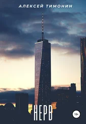 Алексей Тимонин - Нерв