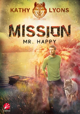 Kathy Lyons Mission Mr. Happy обложка книги