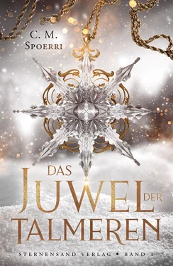 C. M. Spoerri Das Juwel der Talmeren (Band 1) обложка книги