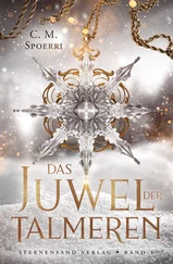 C. M. Spoerri - Das Juwel der Talmeren (Band 1)