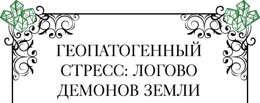Термин Геопатогенный стресс применяется для описания негативной энергии - фото 10