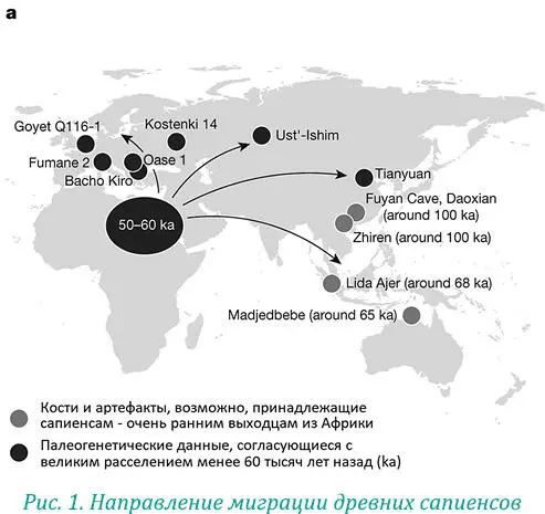 При наличии образного воображения мозг начинает рисовать смешные картинки - фото 6