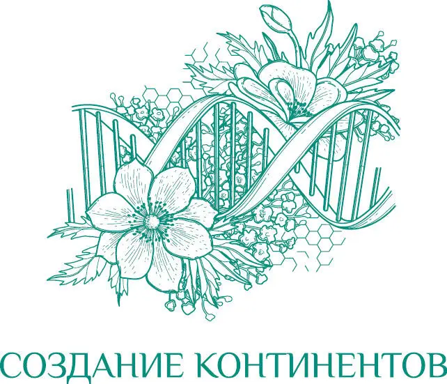Заглянем в то что происходило вчера в том прошлом которое оставляет свой - фото 11