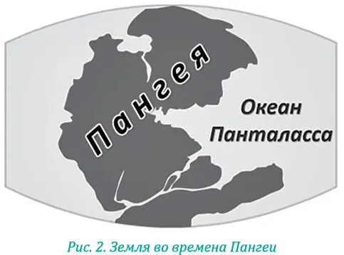 В те незапамятные времена вся суша Земли была собрана в одну большую кучку - фото 12