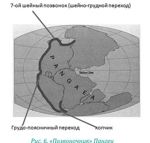 Посмотрите на позвоночник Пангеи рис 6 на горы Анды рис 7 Эта гряда - фото 16
