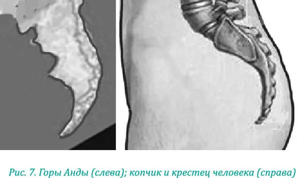 Эта гряда длиннейших в мире гор напоминает позвоночник от каждого позвонка - фото 17