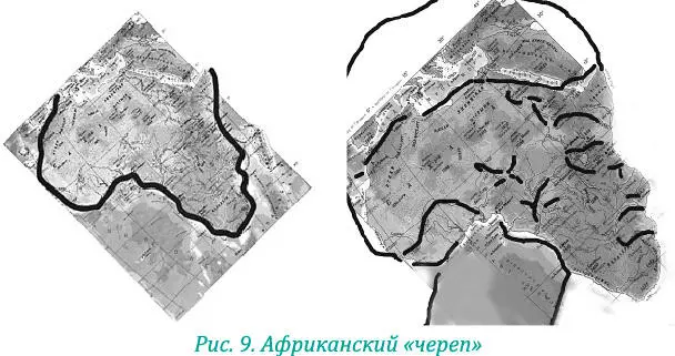 Он соответствует анатомии человеческого черепа даже в мелочах гораздо больше - фото 19