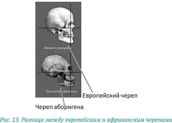 Посмотрите как хорошо развита затылочная часть черепа Африки рис 14 Она - фото 23