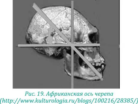 На самом деле узкий удлиненный череп африканцев это дань энергетический оси - фото 30