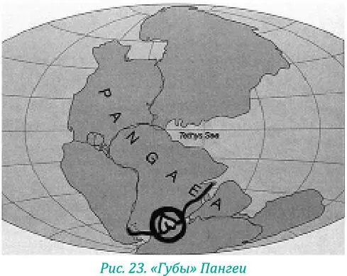 Африка Мы уже видели сходство Африки с черепом африканцев см рис 14 А - фото 34