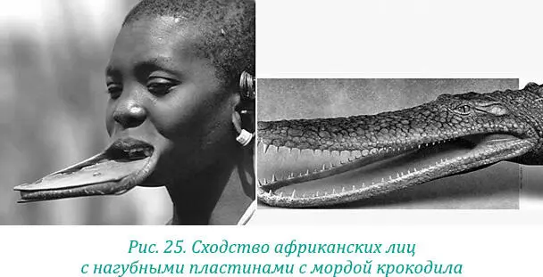 Глаза крокодила Африки озеро Виктория и ее уши озеро Туркана прежнее - фото 36