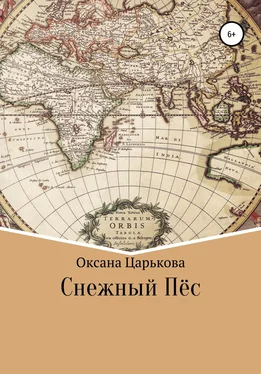 Оксана Царькова Снежный Пёс обложка книги